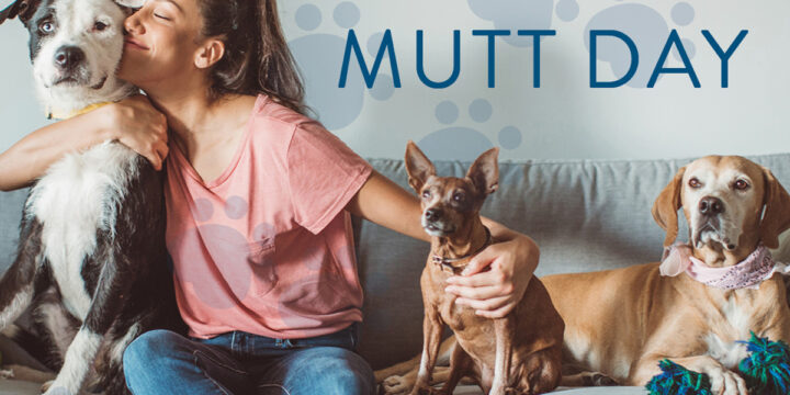 Happy National Mutt Day!