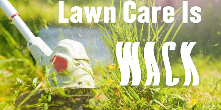 Doing Your Own Lawn Care is WACK!